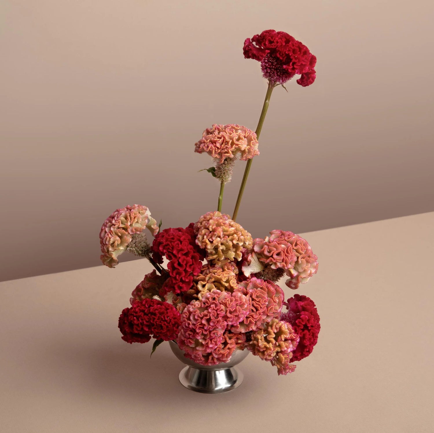 Bouquet of red and pink flowers in a silver vase on a beige surface with a beige background