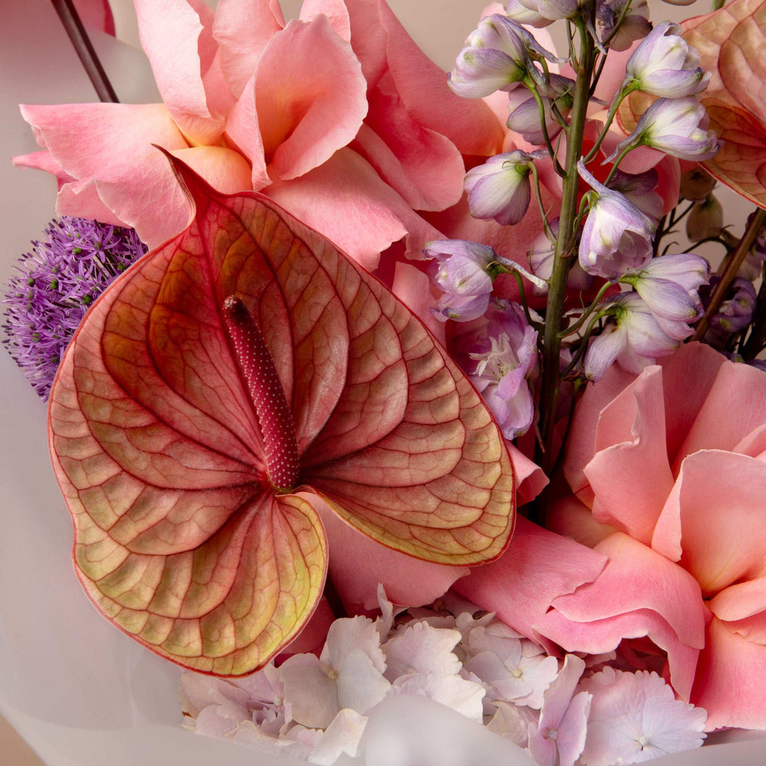 Spring Flowers in Season Right Now
