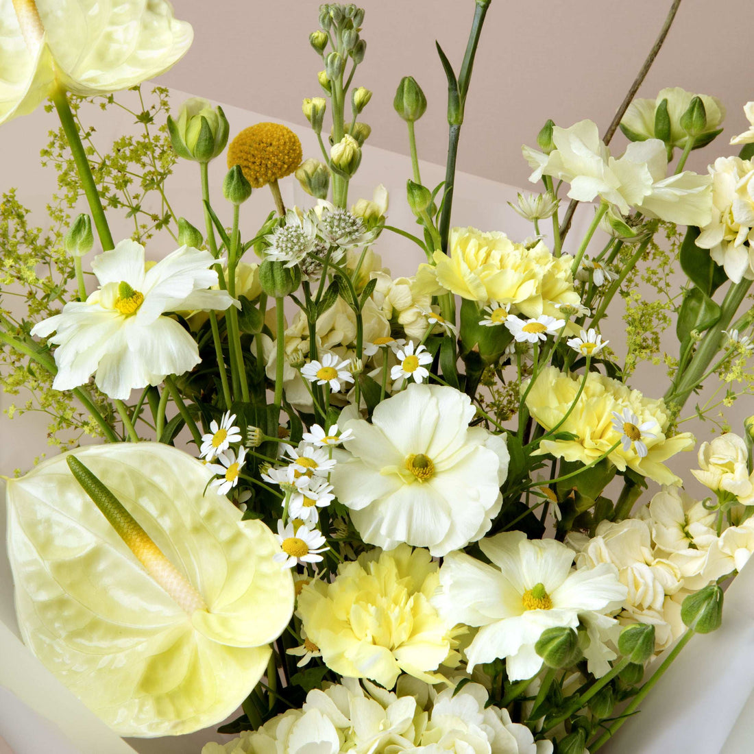 What Flowers Are Good for Hayfever Sufferers?