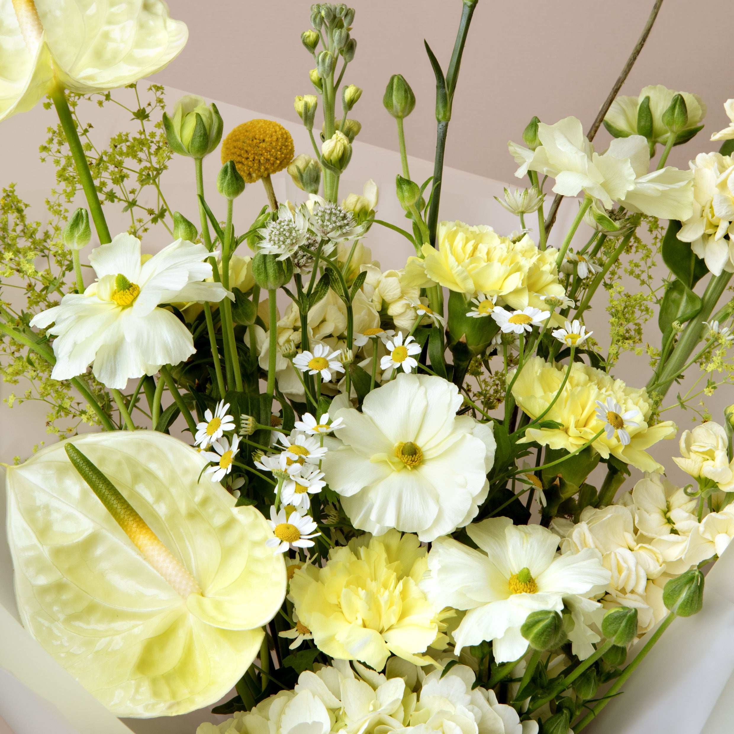 What Flowers Are Good for Hayfever Sufferers?