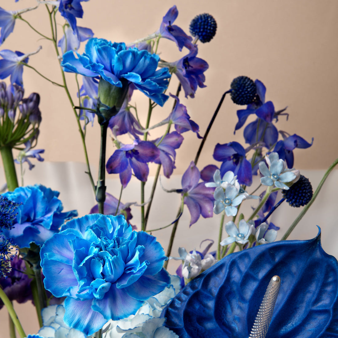 The September Birth Flower — Aster and Morning Glory