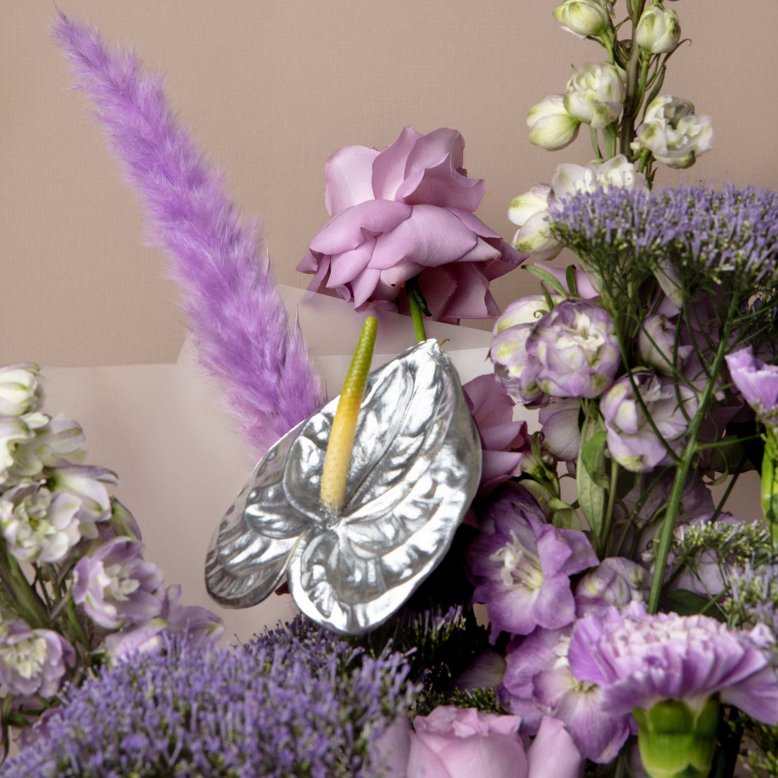 The September Birth Flower — Aster and Morning Glory