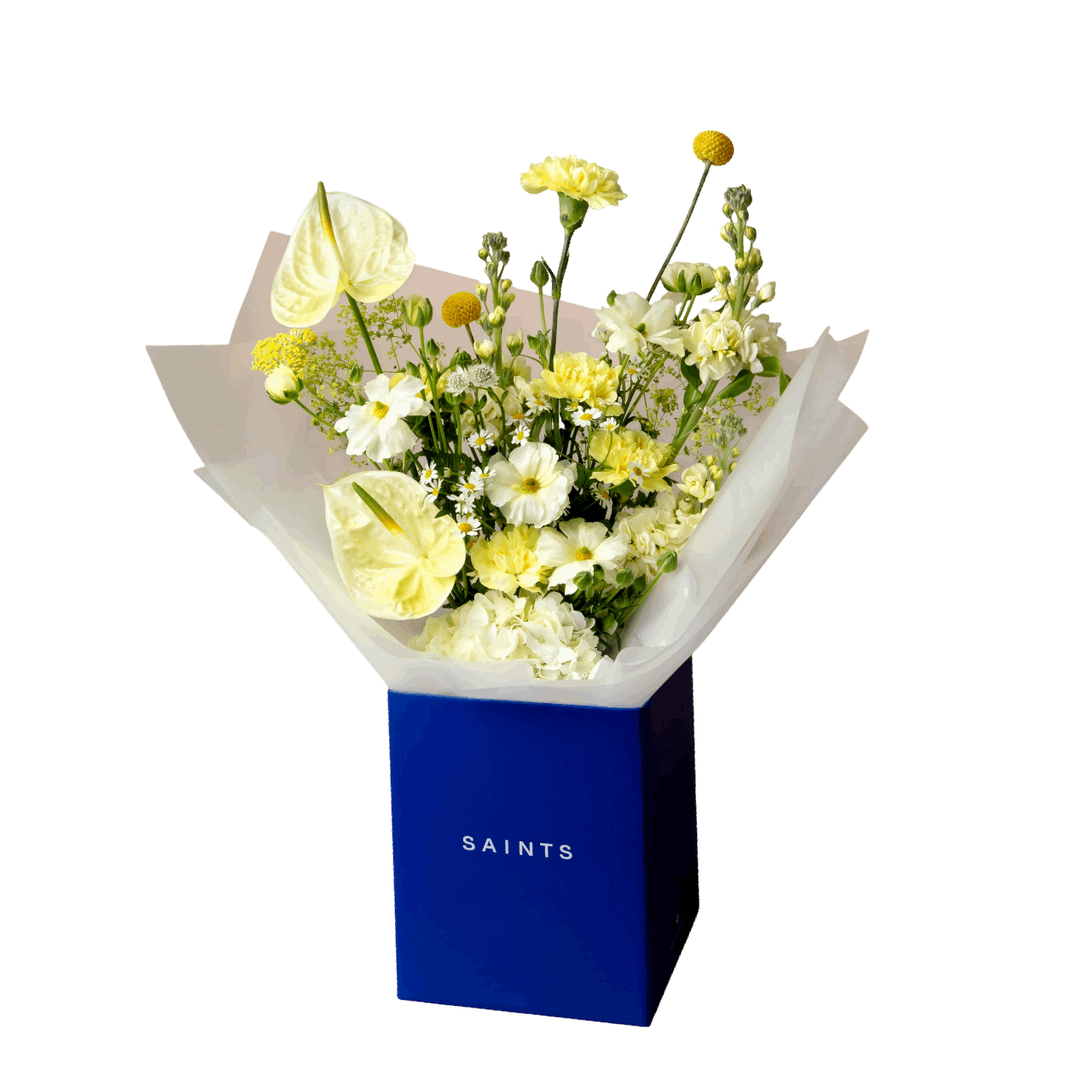 Bouquet of flowers in a blue box labeled 'SAINTS' on a black background