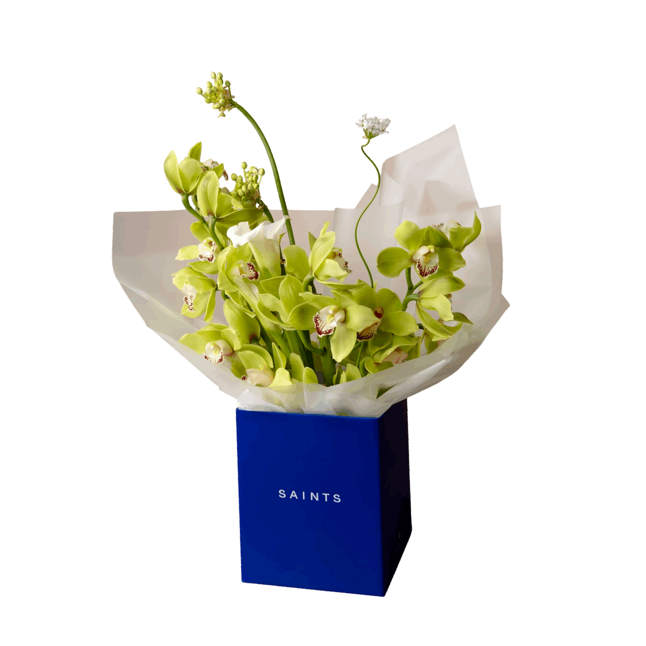 Bouquet of green orchids in a blue box with 'SAINTS' branding on a black background