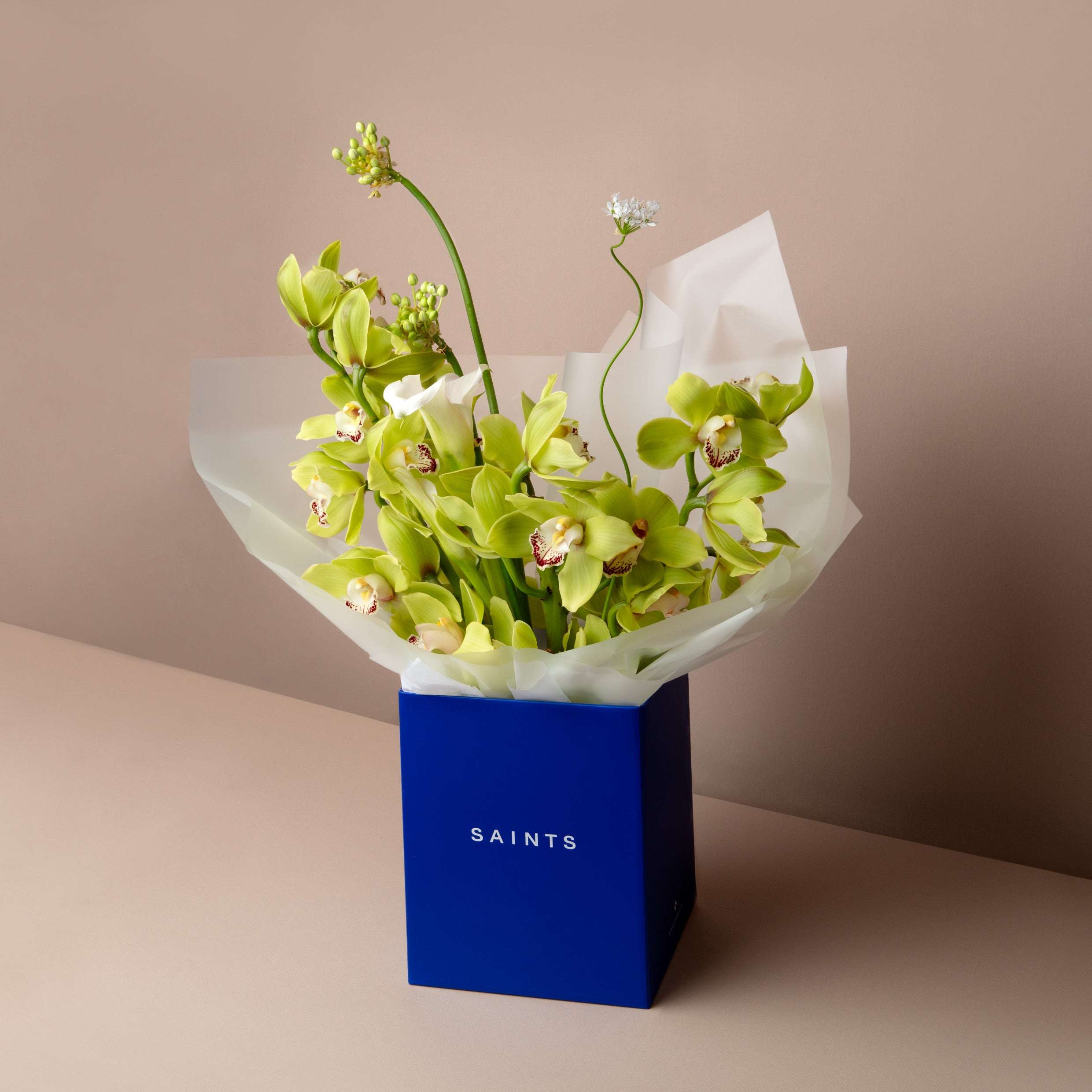 Bouquet of green orchids in a blue box labeled 'SAINTS' on a beige background